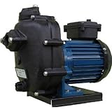 寺田ポンプ セルプラテクポン 単相100V 全閉外扇屋外形 60HZ CMP260.2R 60HZ