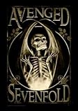 Avenged Sevenfold - Scorched 30'' x 40'' Textile/Fabric Poster