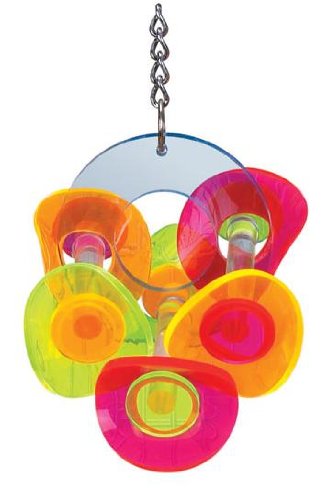 Brainy Bird Whirligig Series Wavy Rings Bird Toy