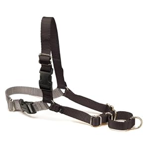 PetSafe Easy Walk Dog Harness, Large, Black/Silver