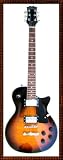 Professional Black Smoke Electric Guitar