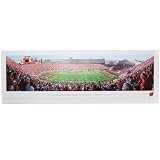 Wisconsin Badgers Stadium 13.5'' Panoramic Print
