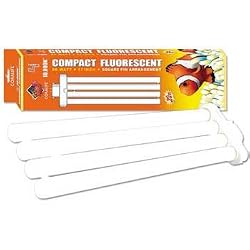 96W Compact 10,000K Flo Square Pin Bulb 17