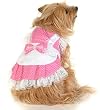 Pink polka dot French lace Princess Apron dog dress S