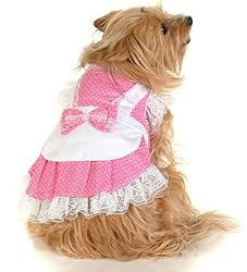 Pink polka dot French lace Princess Apron dog dress S
