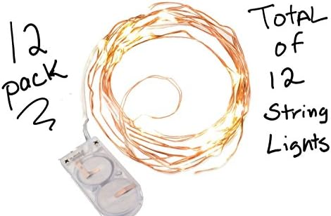 Mason Jar Fairy Lights for Party Weddings Bulk Pack Set of 12 Copper LED String Lights