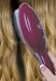 Health & Personal Care : Salon Perfect Hair Coloring Brush