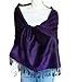 SCARF_TRADINGINC® Paisley Jacquard Pashmina Scarf Wrap Stole