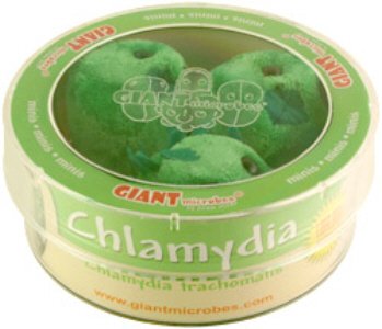 chlamydia