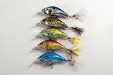 Lot of Five 2.9" Shallow Diving Sigi Crankbait Fishing Lures for Bass & Trout