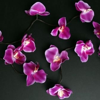 String of 20 Purple Ornamental Orchid Fairy Lights 3.5m
