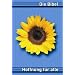 Schwarzbrot und Br�tchen