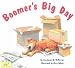 Books : Boomer's Big Day