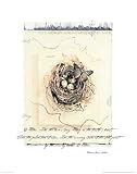 Butterfly Art Print Poster By Julie Nightingale, 22  x 28 