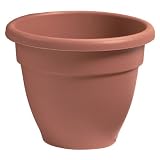 Akro-Mils CNA08000E35 Caribbean Pot, Clay, 8-Inch