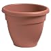 Akro-Mils CNA08000E35 Caribbean Pot, Clay, 8-Inch