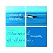 Tranquility - Whales of the Pacific