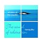 Tranquility - Whales of the Pacific