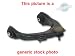Front Upper Control Arm : AUDI A4 03-04 w/o P235/45YR17 tires; rear, L. Left, Driver Side