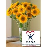 CASA Sunflowers