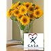 40 Gifts that Give Back - Organic Flowers that donate to charity!