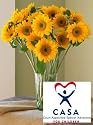 CASA Sunflowers
