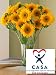 40 Gifts that Give Back - Organic Flowers that donate to charity!