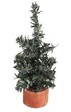 Club Pack of 24 Mini Pine Artificial Village Christmas Trees 4 - Unlit