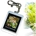 Keychain Digital Photo Frame 1.5" - USB, 1Mb flash, lithium battery, Silver