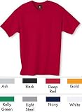 Hanes 100% Cotton Long Sleeve Tee 5186