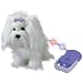Fluffy Go Walkies (Colour Varies)