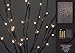 Hi-Line Gift LtdFloral Lights Lighted Willow Branch (set of 2 Branches) with 60 bulbs, 40 inches (Battery operated)
