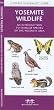 Yosemite Wildlife: An Introduction to Familiar Species of the Yosemite Area (Ecotourism: Parks & Sanctuaries Guides)