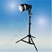 [2511] 80 w/s Backlight Slave Strobe Flash and Stand--Steve Kaeser since 1989--100% SATISFACTION GUARANTEED