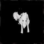 Kveikur [VINYL]