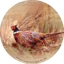 Pheasant Thirstystone Sandstone Coasters
