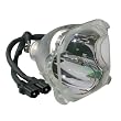 Samsung Compatible BP96-01472A Replacement DLP TV Lamp Only Samsung Compatible BP96-01472A Replacement DLP TV Lamp Only