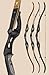 Hoyt Buffalo Recurve Bow 50# Blackout RH