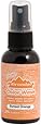 Ranger TCW-TIM-29717 Tim Holtz Adirondack Color Wash Dye Spray, Sunset Orange, 2-Ounce