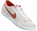 Nike Men's Zoom All Court Ck Skate Shoe