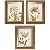 IMAGE OF Set of 3 Nature Prints Wall Art