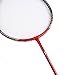 Senston - 2 Player Graphite Badminton Racket Set - Including 1 Badminton Bag/2 Rackets/2 Badminton /2 Grip