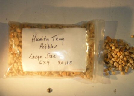 Image #1 of Bonsai Boy