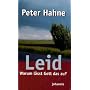 Leid - Warum l�sst Gott das zu?