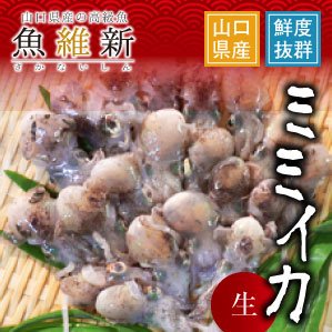 ミミイカ 釣りエサ 300g 釣果抜群！！