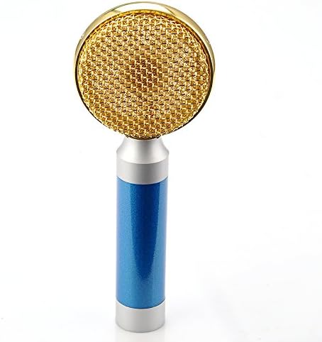 Professional Pro Condenser Microphone Studio Recording Mic w/ Shock Mount for Guitar