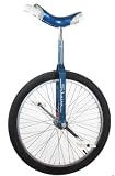 Schwinn 24