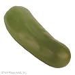 Pickle Stress Toy