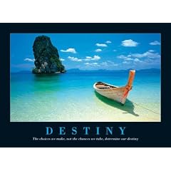 Poster Motivation: Destiny QF - Schicksal