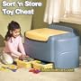 Blue/Yellow Toy Box